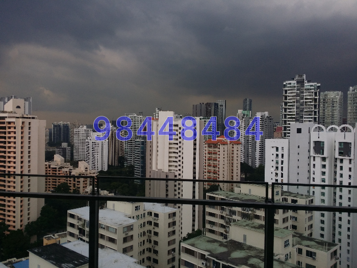 Starlight Suites thumbnail photo
